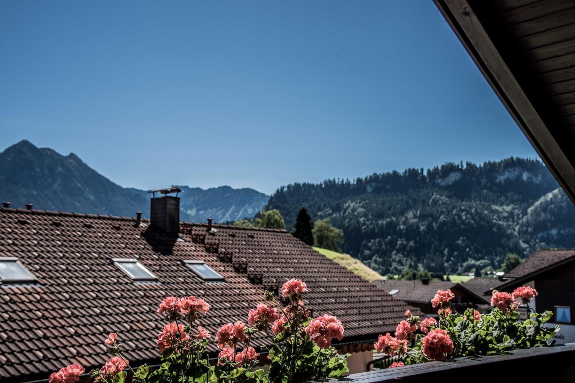 Haus Susanne - Top-Ferienwohnungen - Sommer-Bergbahn Inklusive Обермайзельштайн Екстер'єр фото