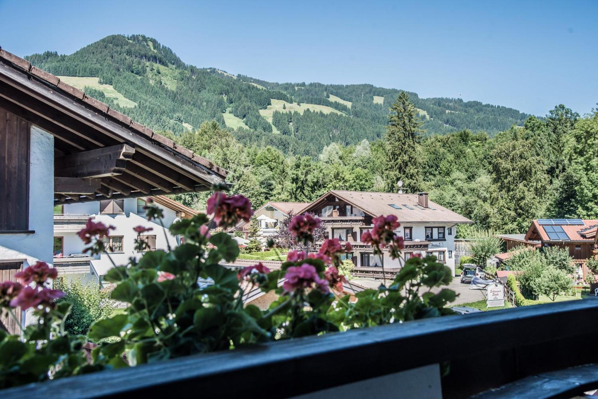 Haus Susanne - Top-Ferienwohnungen - Sommer-Bergbahn Inklusive Обермайзельштайн Екстер'єр фото